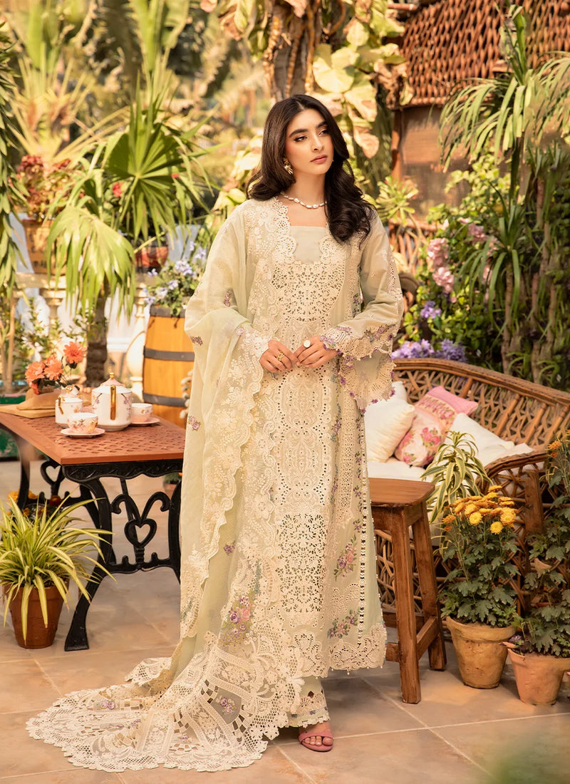 The Light | Premium Eid Collection