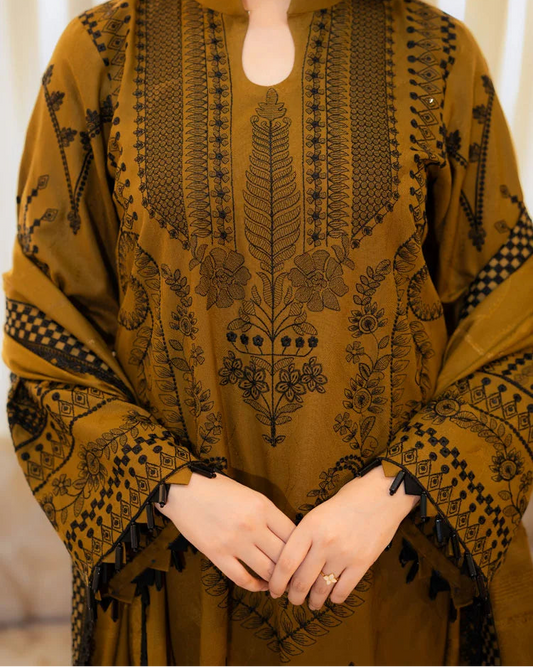 Close look of Embroidery Dress Design Front